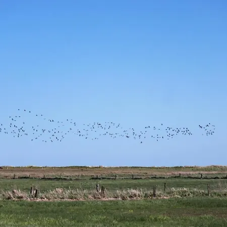 'aerö' - Refugium Pottloch Ostsee Kronsgaard